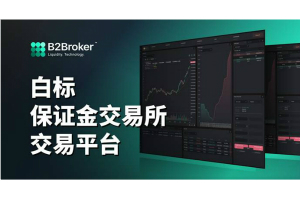 欢迎新的B2Broker网站和品牌重塑